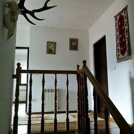 Zakatek *